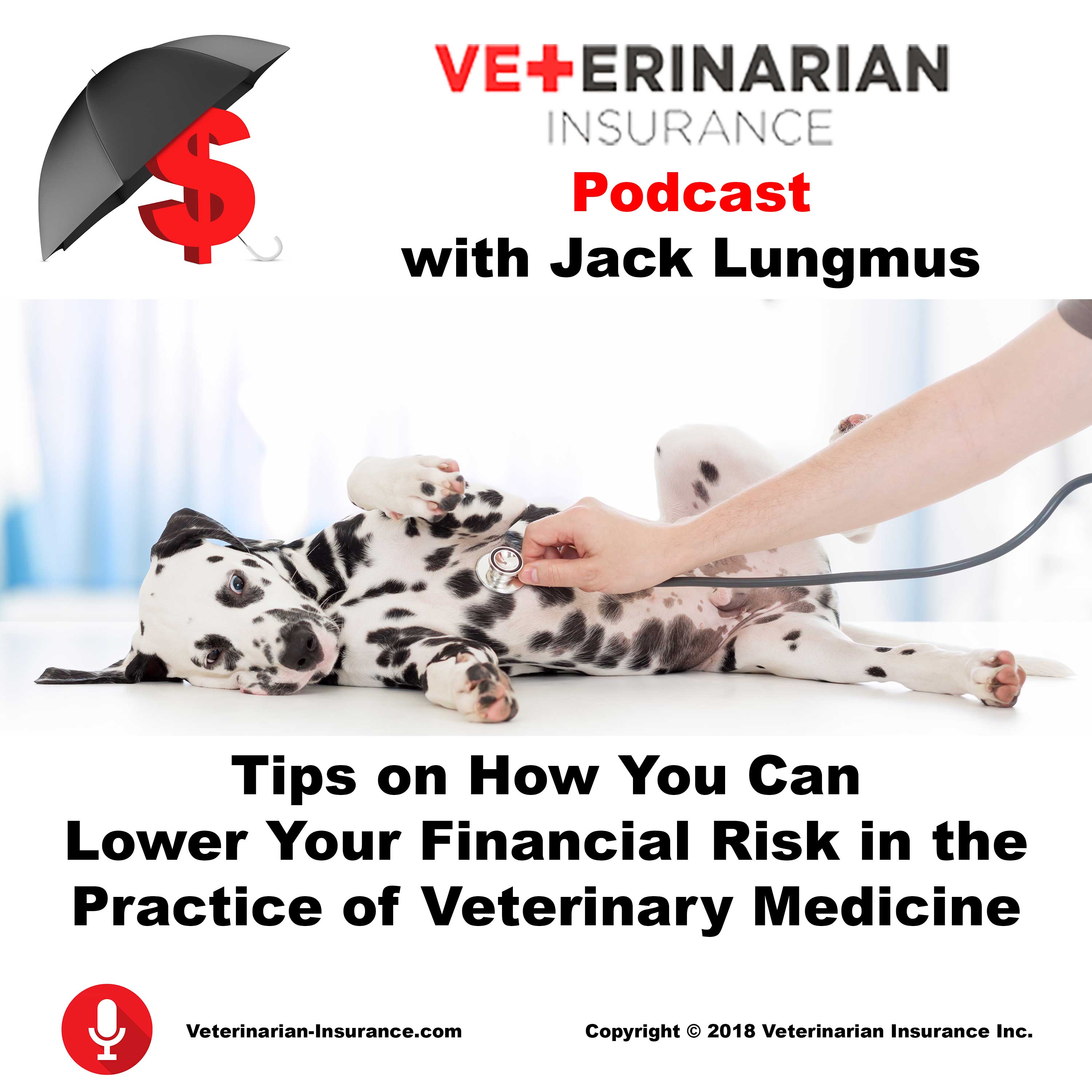 Veterinarian Insurance Podcast